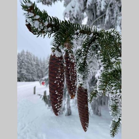 Zeit Fuer Dich Am Bergelchen, Winterberg Apartamento Exterior foto