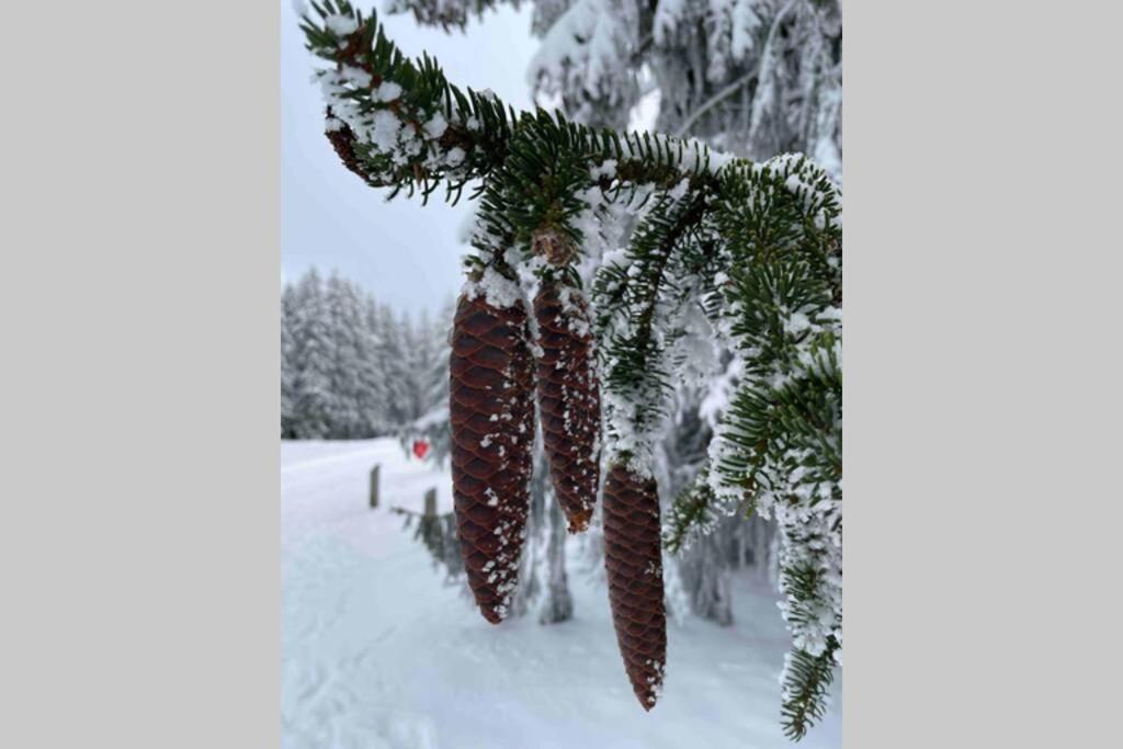 Zeit Fuer Dich Am Bergelchen, Winterberg Apartamento Exterior foto